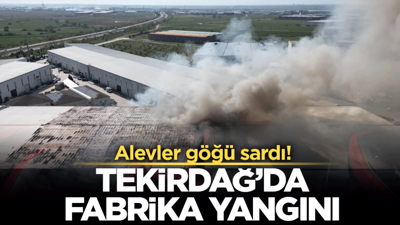 Tekirdağ'da fabrika yangını paniği!