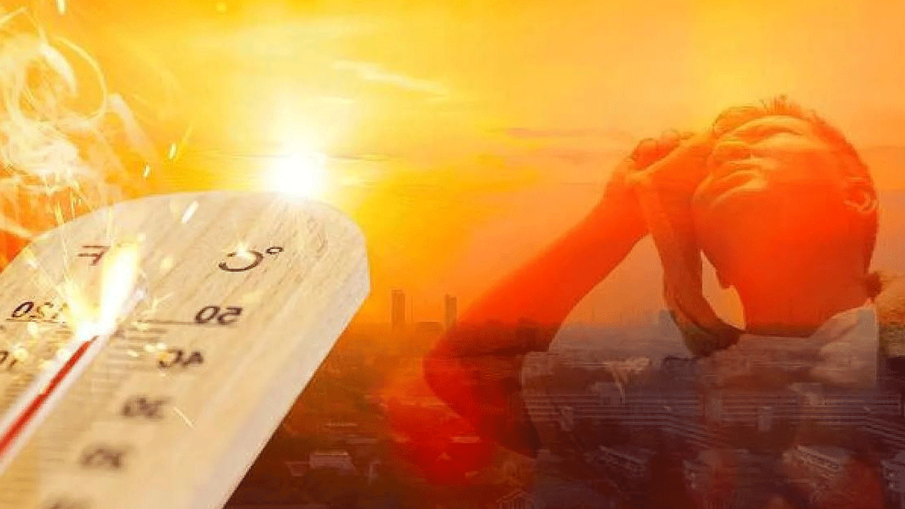 Termometreler 36 dereceyi gösterdi: İstanbullu sahillere akın etti