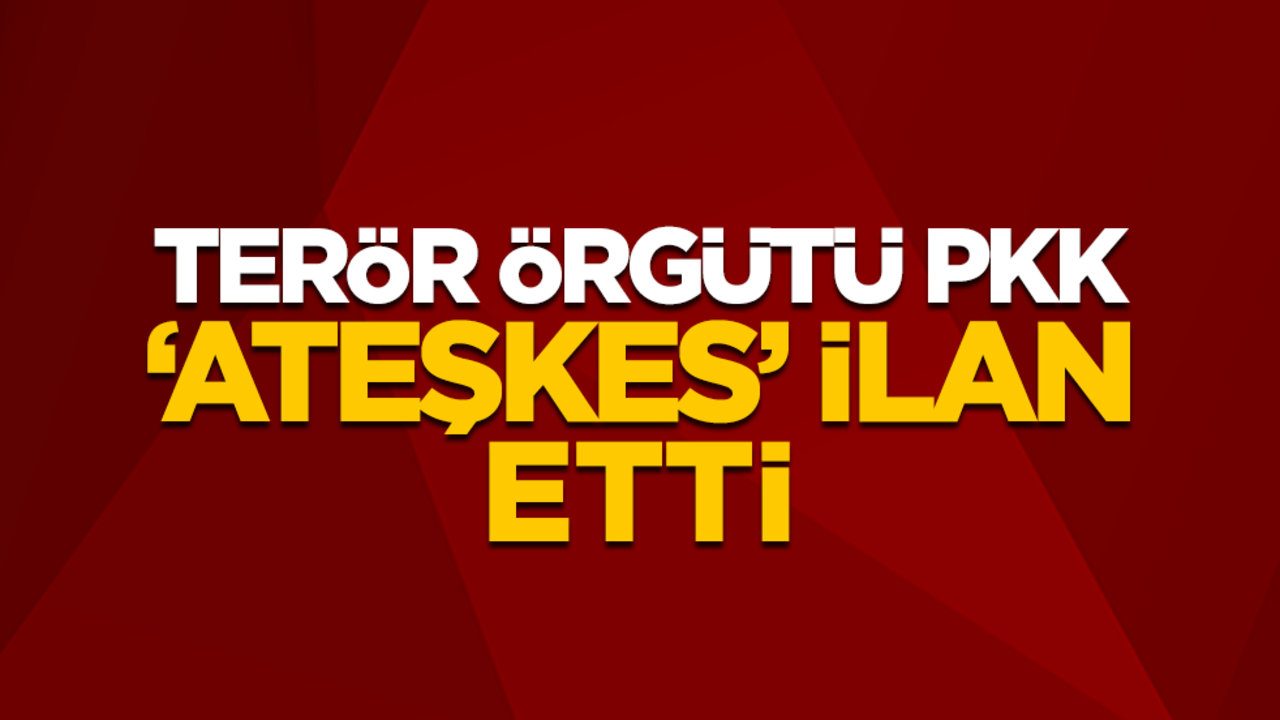 Terör örgütü PKK "ateşkes" ilan etti!