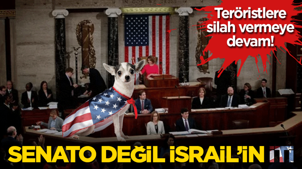 Teröristlere silah vermeye devam! Senato değil İsrail’in iti