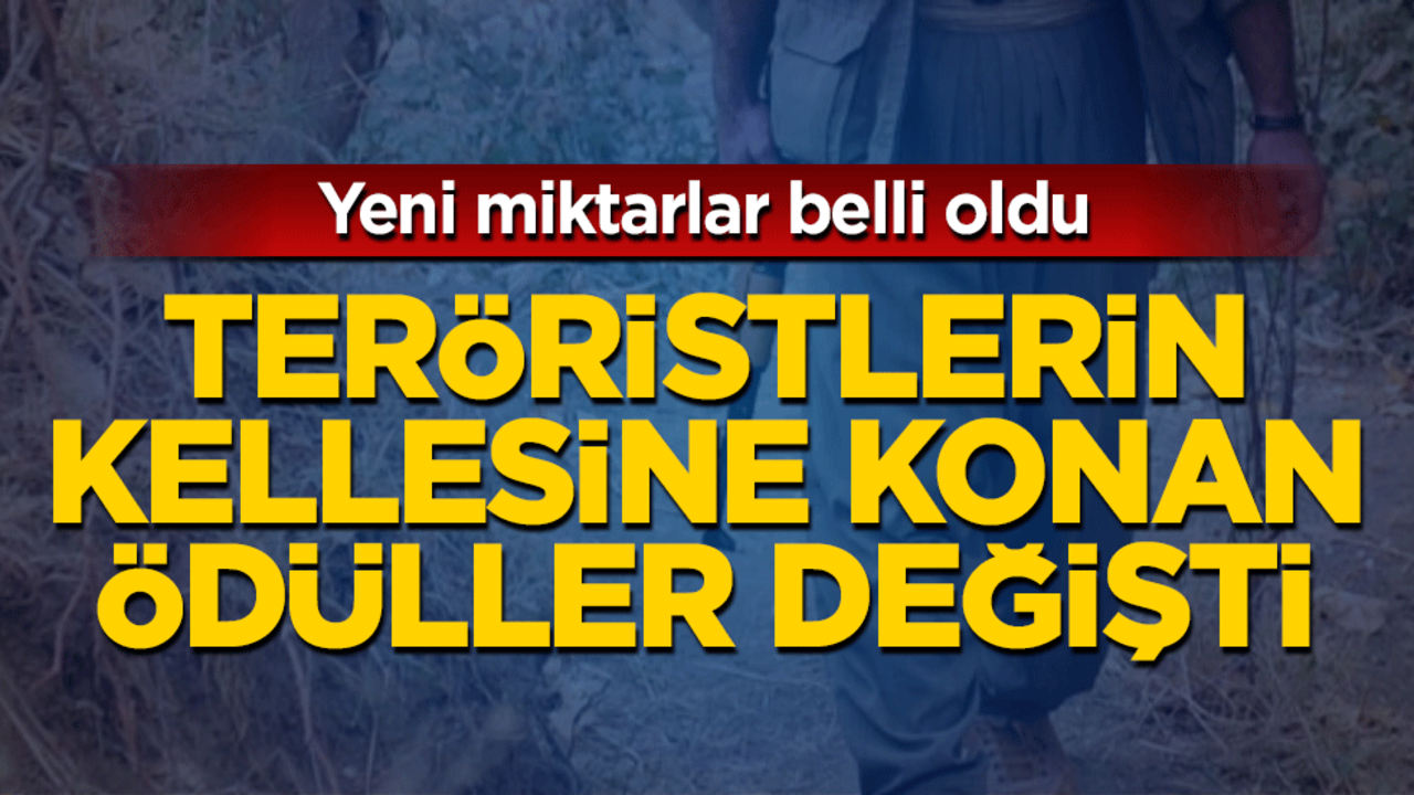 Teröristlerin kellesine konan ödüller değişti