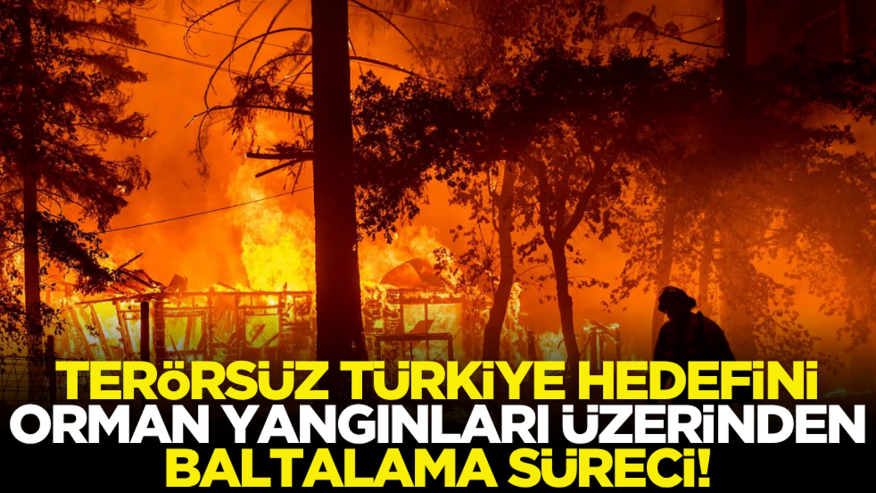 Terörsüz Türkiye hedefini orman yangınları üzerinden baltalama süreci!