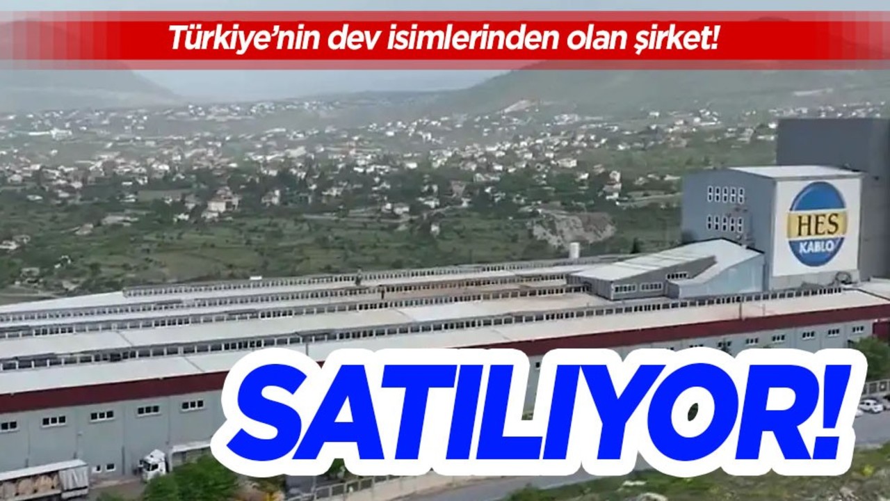 TMSF, 3 şirketi satışa çıkardı: Türkiye'nin devi HES satışa çıkıyor! Son teklif tarihi 3 Şubat