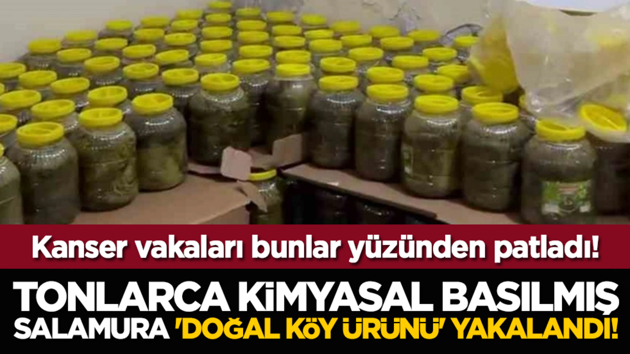 Tonlarca kimyasal basılmış salamura 'doğal köy ürünü' yakalandı!
