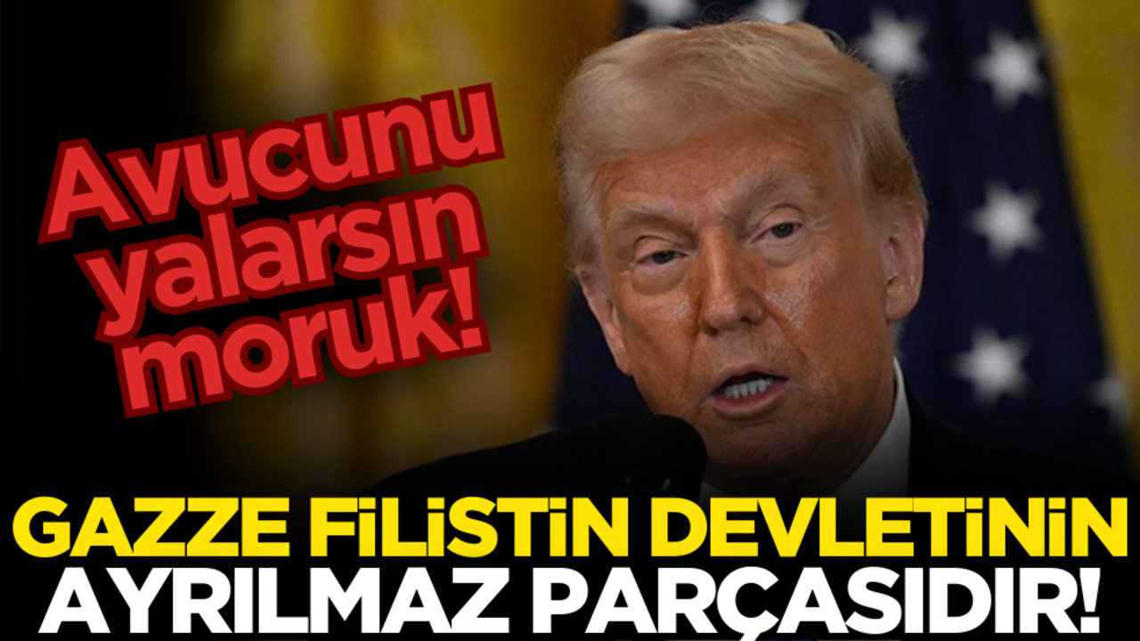Trump’ın alçak planına tepki yağıyor! ‘Gazze, Filistin devletinin ayrılmaz parçası’