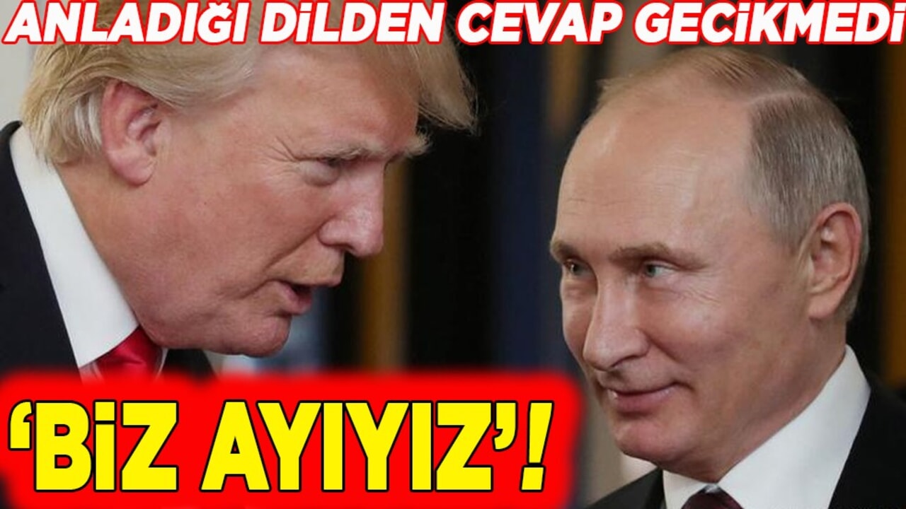 Trump'ın sözlerine anladığı dilden cevap. Biz ayıyız!