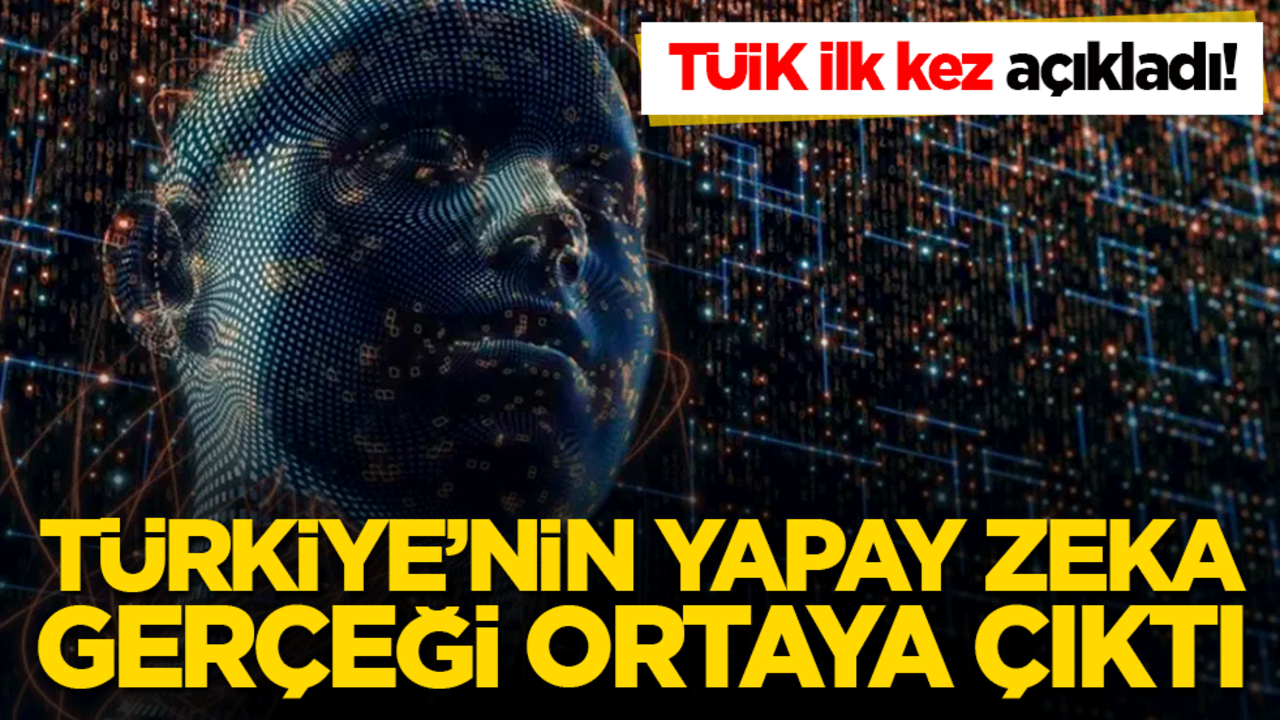 TÜİK ilk kez açıkladı! Türkiye’nin yapay zeka gerçeği ortaya çıktı