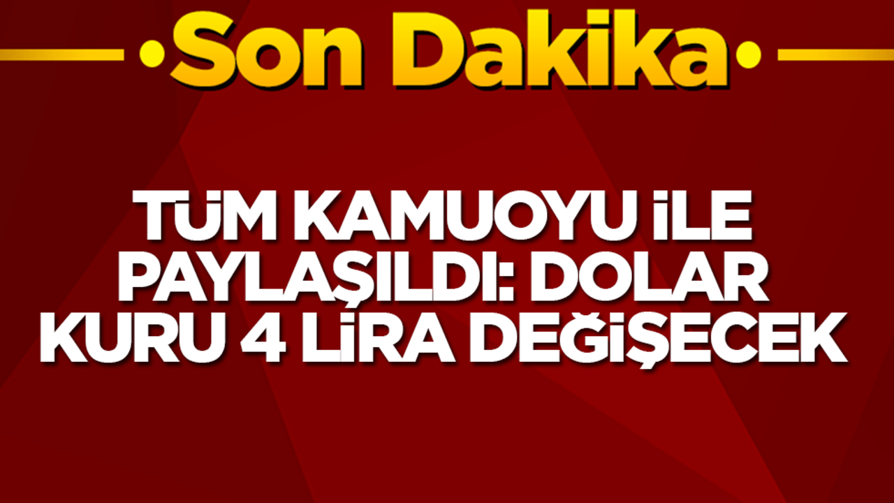 Tüm kamuoyu ile paylaşıldı: Dolar kuru 4 lira değişecek