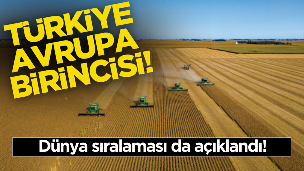 Türkiye Avrupa birincisi! Dünya sıralaması da belli oldu