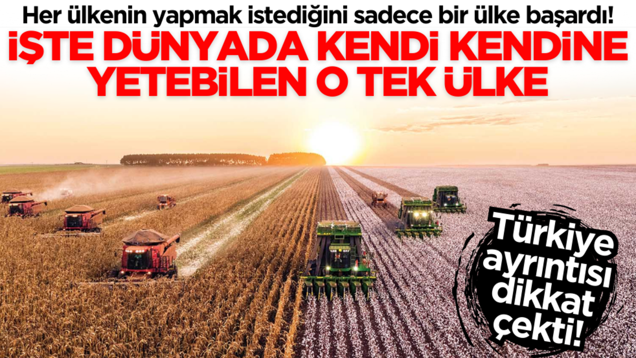Türkiye ayrıntısı dikkat çekti! Dünyada kendi kendine yetebilen tek ülke belli oldu