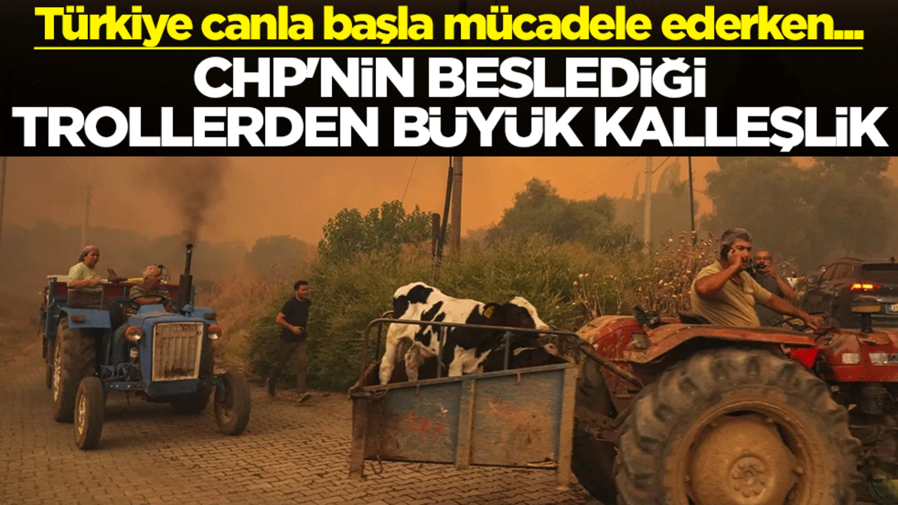 Türkiye canla başla mücadele ederken... CHP'nin beslediği trollerden büyük kalleşlik