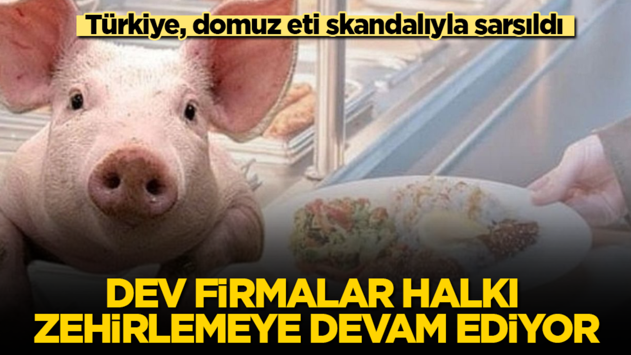 Türkiye, domuz eti skandalıyla sarsıldı! Dev firmalar halkı zehirlemeye devam ediyor