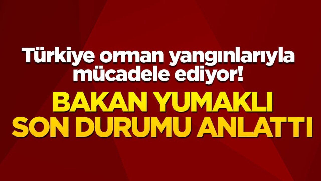 Türkiye orman yangınlarıyla mücadele ediyor! Bakan Yumaklı son durumu anlattı