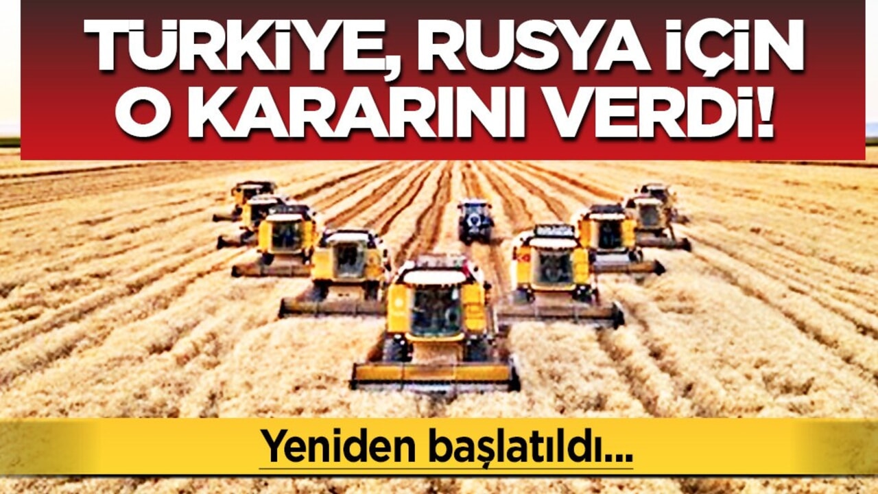 Türkiye, Rusya'dan buğday ithalatına yeniden başladı!