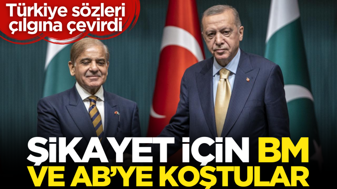 Türkiye sözleri çılgına çevirdi: Şikayet için BM ve AB’ye koştular