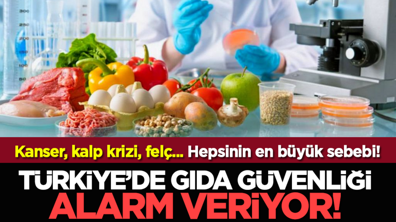 Türkiye’de gıda güvenliği alarm veriyor!