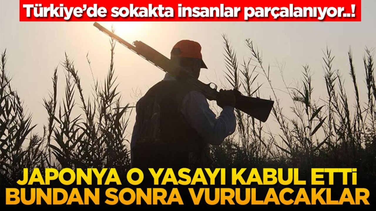 Türkiye’de sokakta insanlar parçalanıyor..! Japonya o yasayı kabul etti bundan sonra vurulacaklar