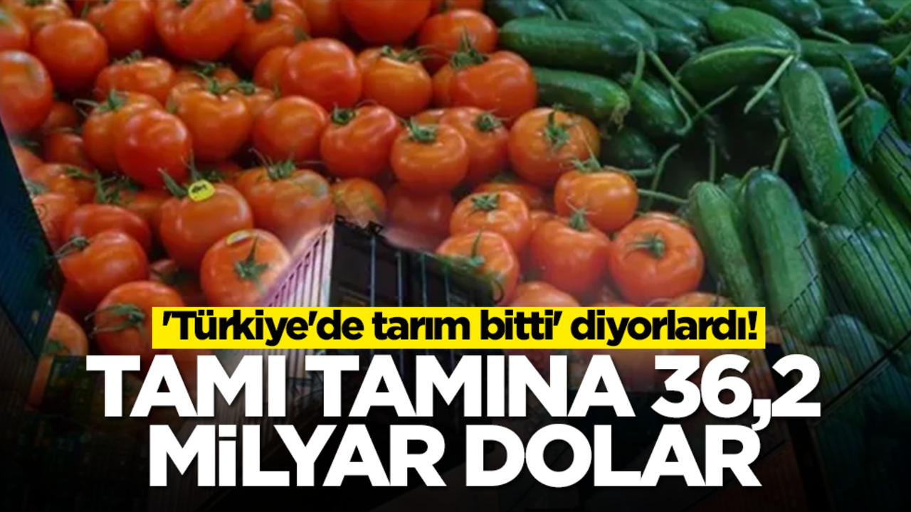 'Türkiye'de tarım bitti' diyorlardı! Tamı tamına 36,2 milyar dolar...