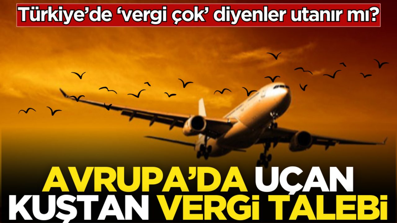 Türkiye’de ‘vergi çok’ diyenler utanır mı? Avrupa’da uçan kuştan vergi talebi!
