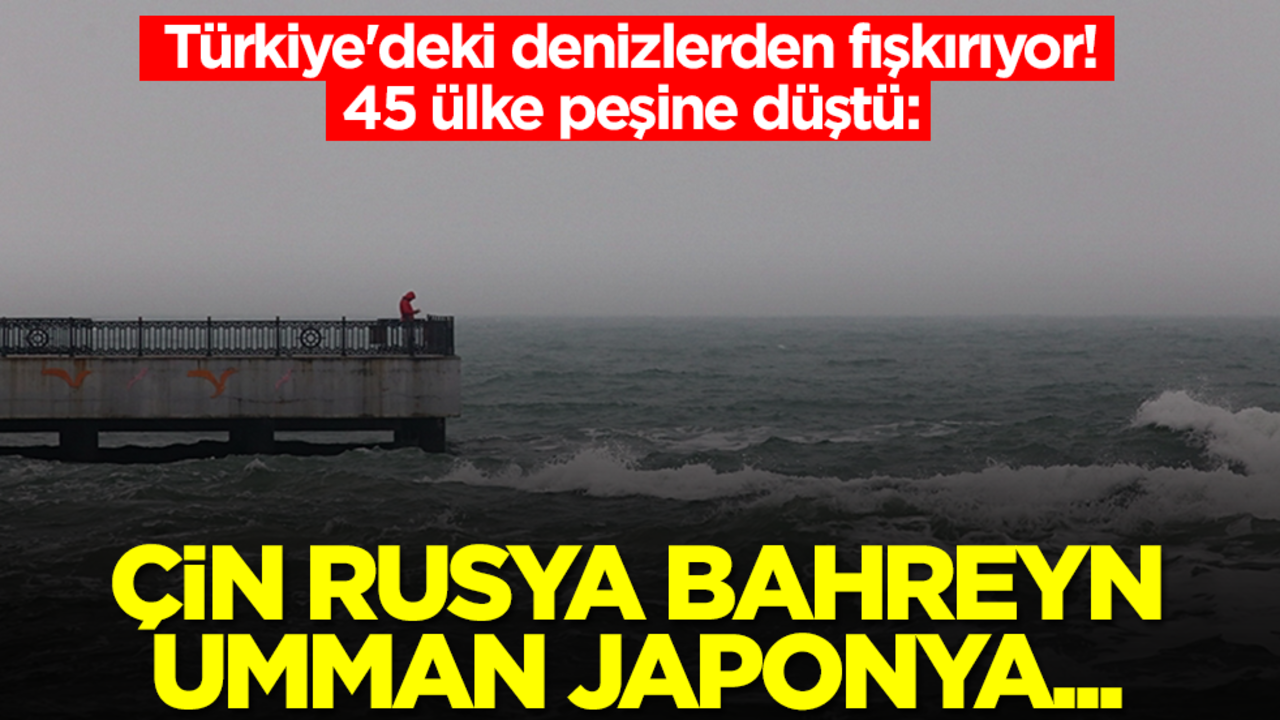 Türkiye'deki denizlerden fışkırıyor! 45 ülke peşine düştü: Çin, Rusya, Bahreyn, Umman, Japonya...