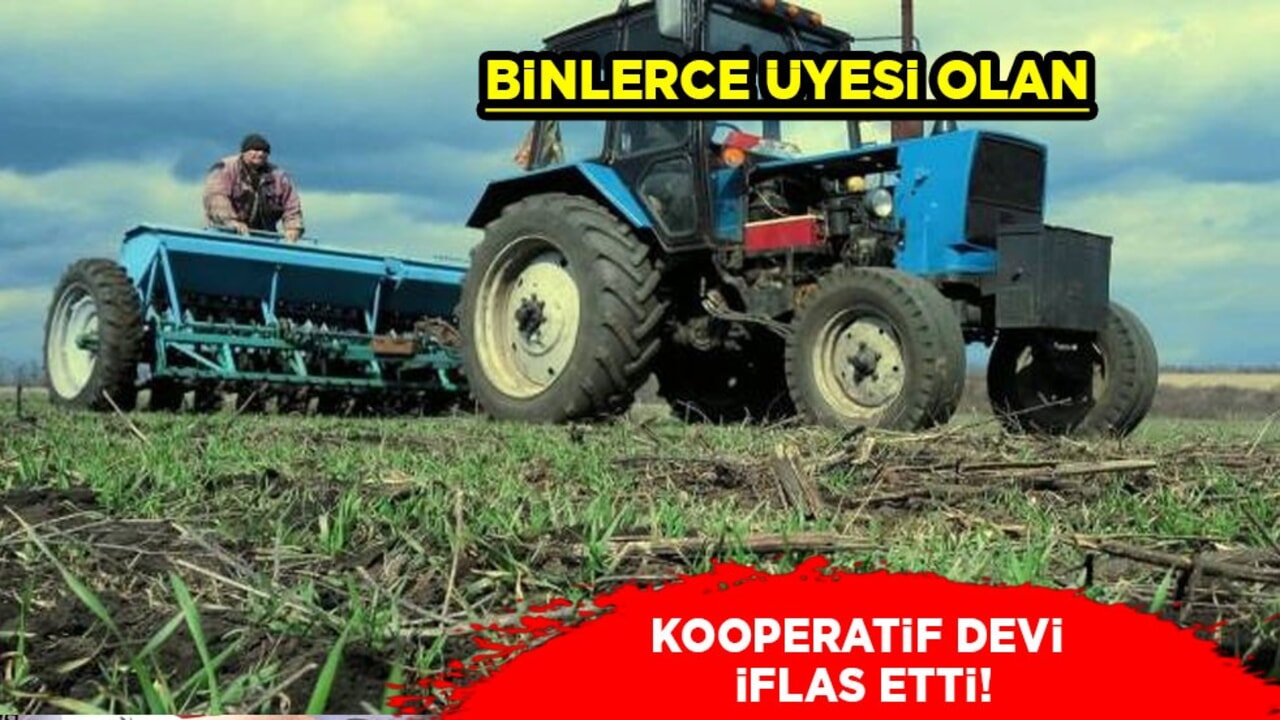 Türkiye'deki Kooperatif devi iflas etti! Türk devine konkordato talebi: İflası reddedildi! 