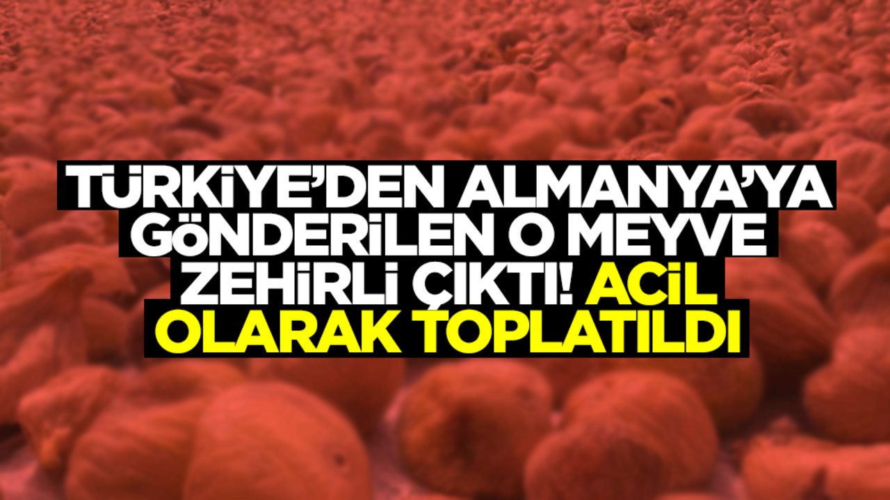 Türkiye'den Almanya'ya giden meyveler zehirli çıktı! Acil olarak piyasadan toplatıldı
