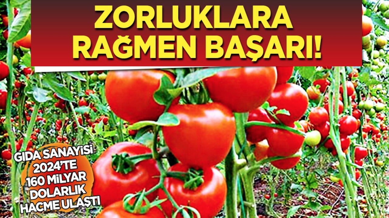 Ortalığı karıştıracak hamle! 160 Milyar dolarlık! Türkiye kararı! Kabus gibi çöktü