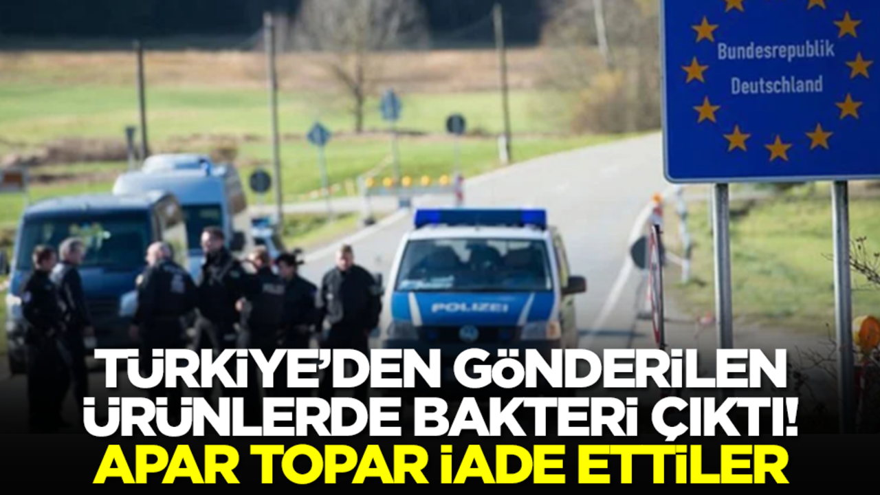 Türkiye'den gönderilen ürünlerde salmonella çıktı! Hemen iade ettiler