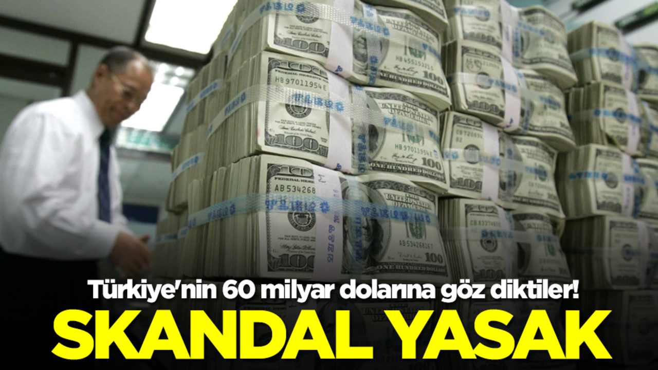 Türkiye'nin 60 milyar dolarına göz diktiler! Skandal yasak