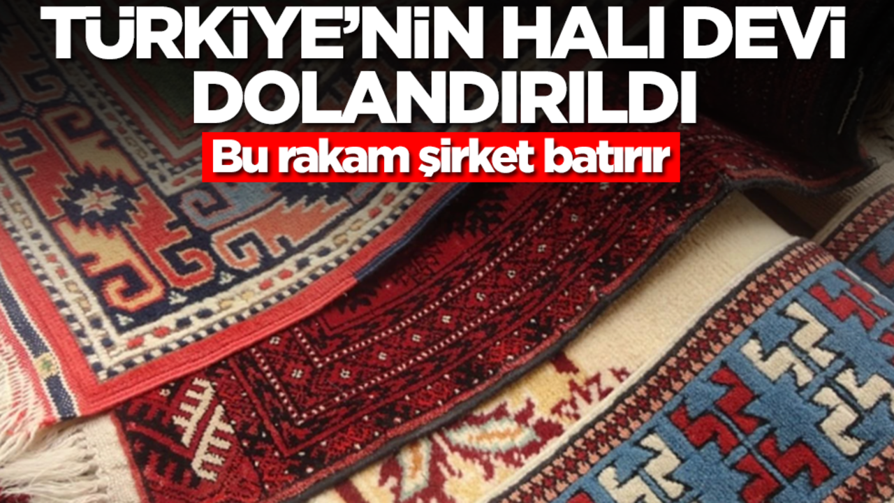 Türkiye'nin halı devi dolandırıldı! Bu rakam şirket batırır