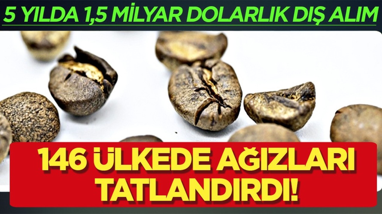 Türkiye'nin kahveleri 146 ülkede ağızları tatlandırdı: İşte en fazla satın alan ülkeler! Suudi Arabistan, Azerbaycan...