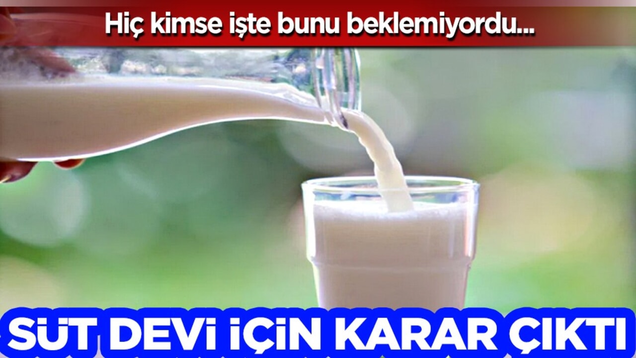 Türkiye'nin Süt devi iflas bayrağını çekiyor: Konkordato ilan etti! Mahkeme kararını verdi