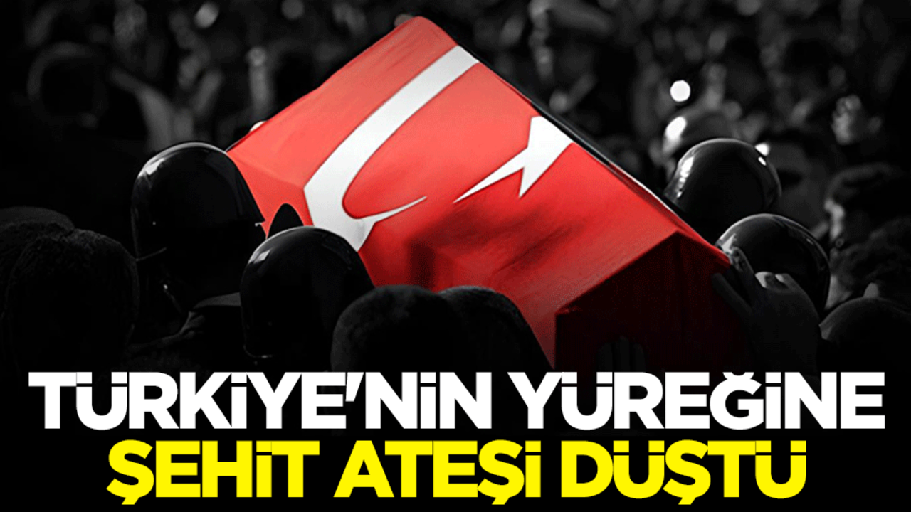 Türkiye'nin yüreğine şehit ateşi düştü