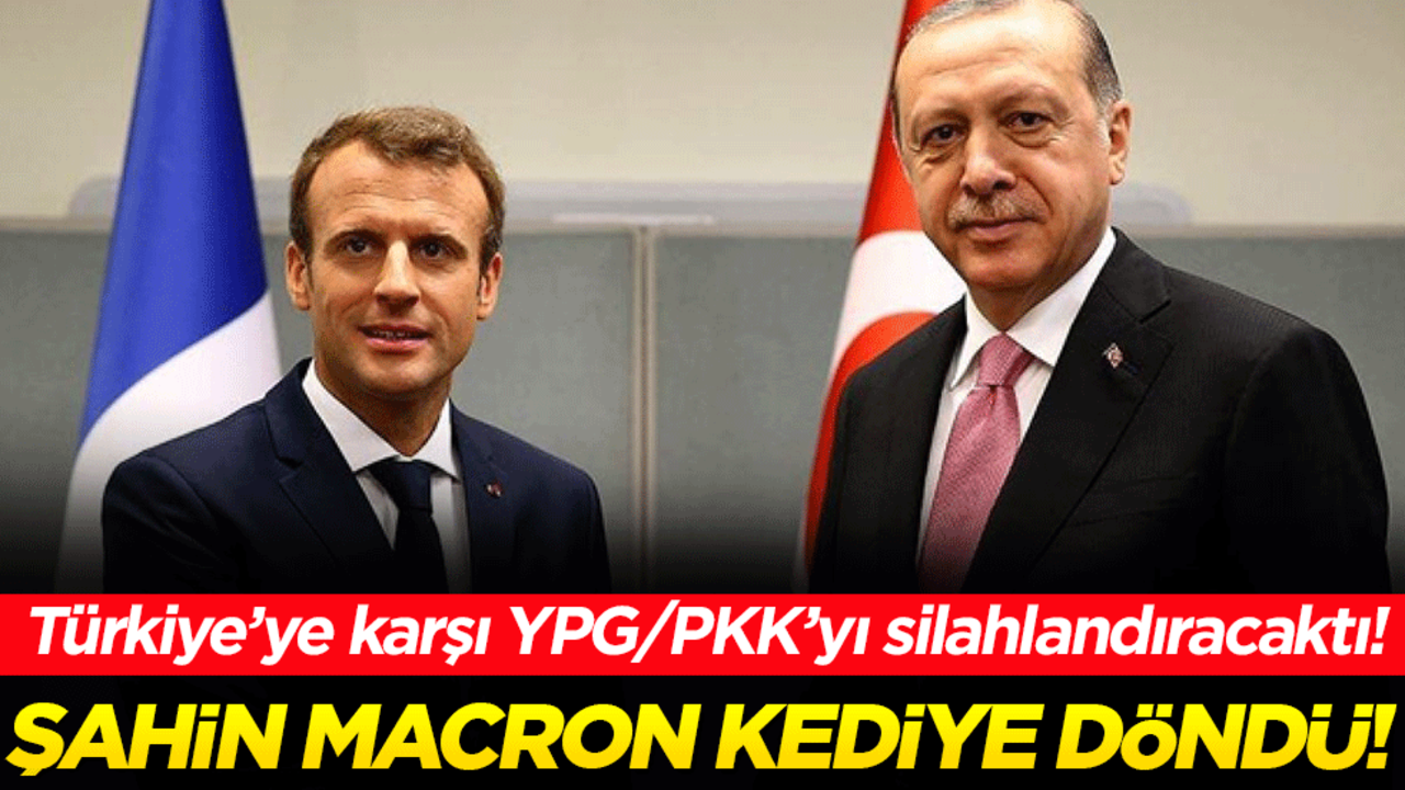 Türkiye'ye karşı YPG/PKK'yı silahlandıracaktı: Şahin Macron kediye döndü!