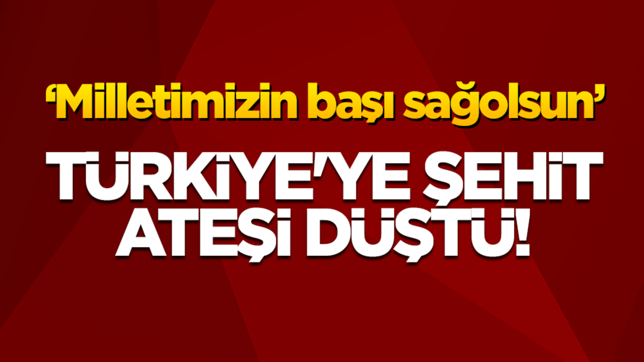 Türkiye'ye şehit ateşi düştü! "Milletimizin başı sağolsun"