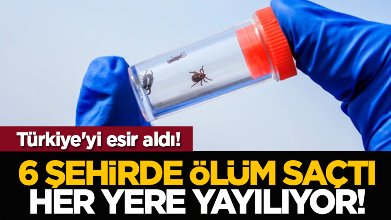 Türkiye'yi esir aldı! 6 şehirde ölüm saçtı her yere yayılıyor!