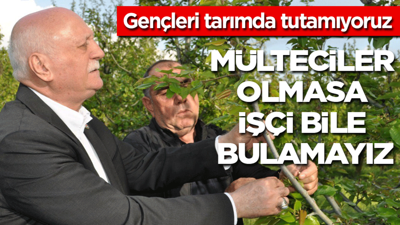 TZOB Başkanı: Gençleri tarımda tutamıyoruz, mülteciler olmasa işçi bile bulamayız