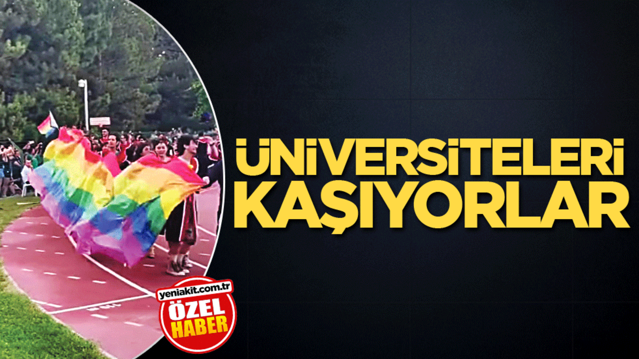 Üniversiteleri kaşıyorlar