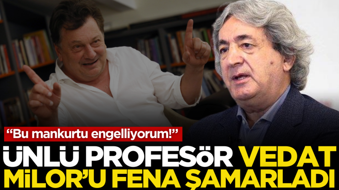 Ünlü profesör Vedat Milor’u fena şamarladı: Bu mankurtu engelliyorum!