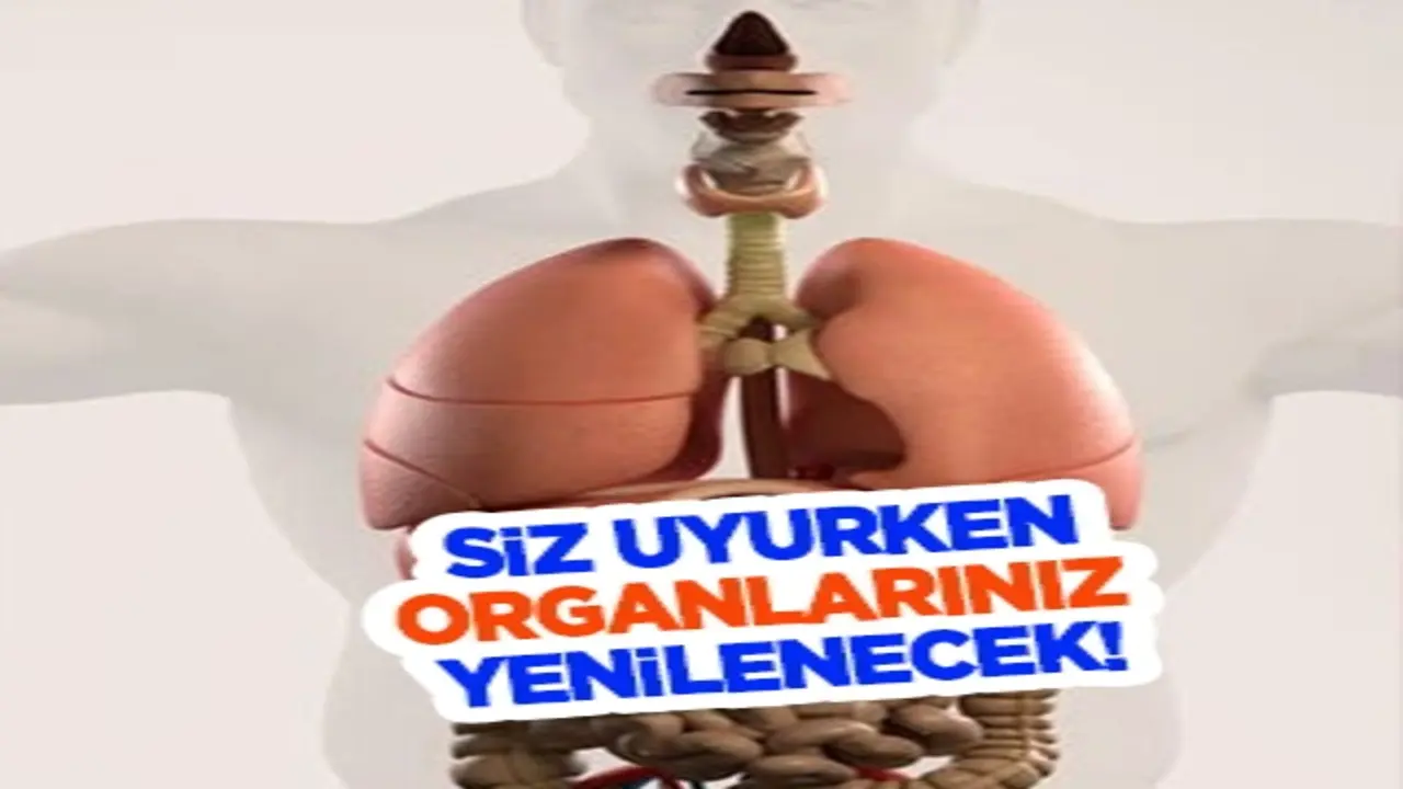 Uyurken organlarınız yenilenecek bu çayı akşamları için: Tek bir bardak İçip yatan birden uyuyor... İşte yolu bu