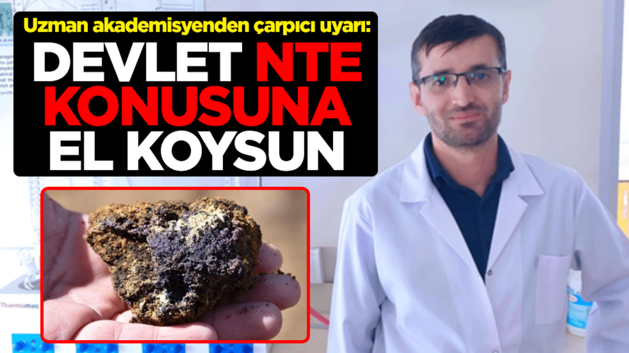 Uzman akademisyenden çarpıcı uyarı! Doç. Dr. Turan Uysal: Devlet NTE konusuna el koysun
