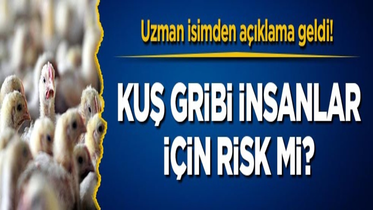 Uzman isimden açıklama geldi! Kuş gribi insanlar için risk mi?