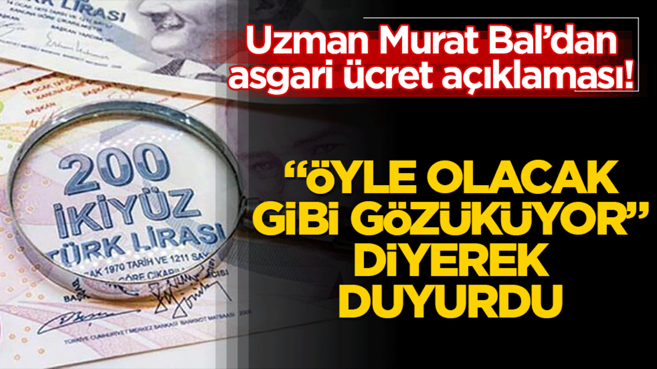 Uzman Murat Bal’dan asgari ücret açıklaması! "Öyle olacak gibi gözüküyor"