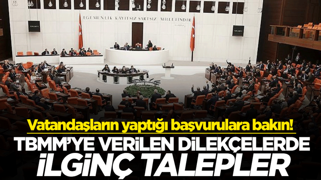 Vatandaşların yaptığı başvurulara bakın! TBMM’ye verilen dilekçelerde ilginç talepler