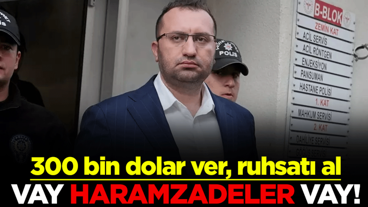 Vay haramzadeler vay! 300 bin dolar ver, ruhsatı al