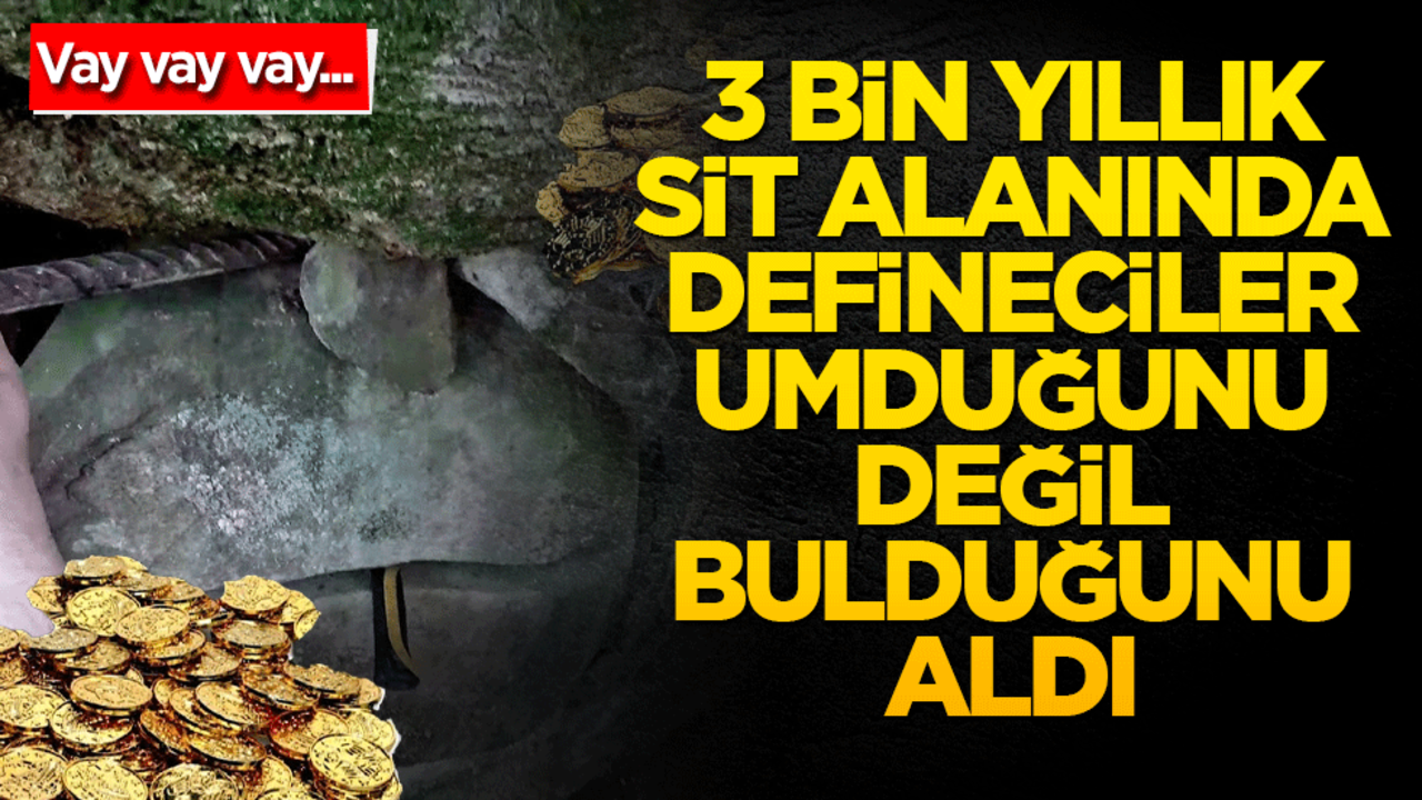 Vay vay vay… 3 bin yıllık sit alanında defineciler umduğunu değil bulduğunu aldı