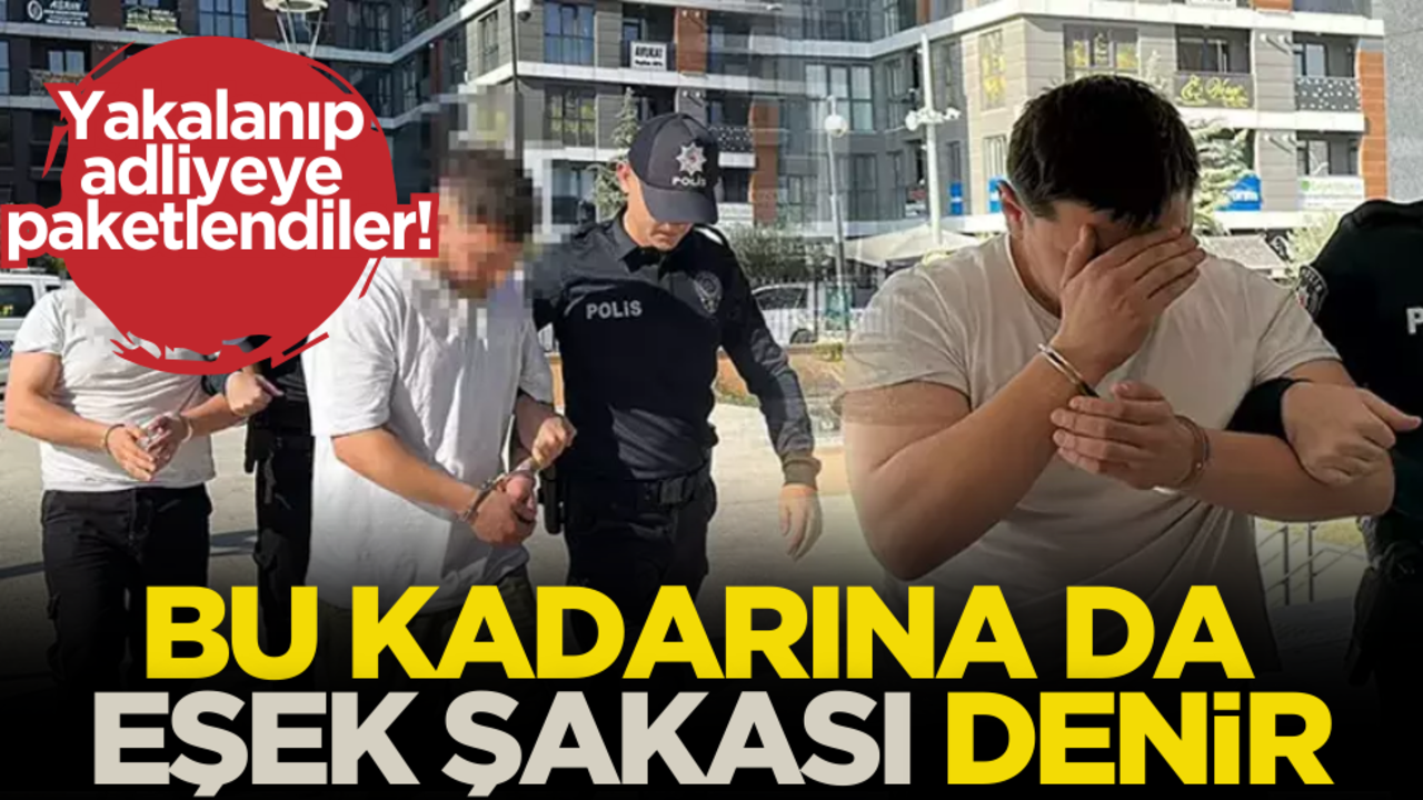 Yakalanıp adliyeye paketlendiler! Bu kadarına da eşek şakası denir