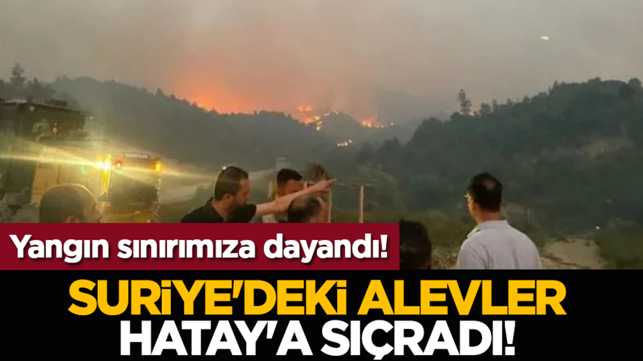 Yangın sınırımıza dayandı! Suriye'deki alevler Hatay'a sıçradı!