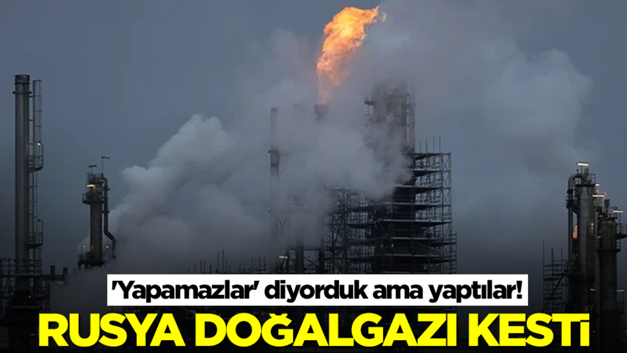 'Yapamazlar' diyorduk ama yaptılar! Rusya doğalgazı kesti