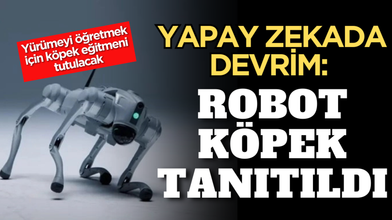 Yapay zekada devrim: Robot köpek tanıtıldı! Yürümeyi öğretmek için köpek eğitmeni tutulacak…